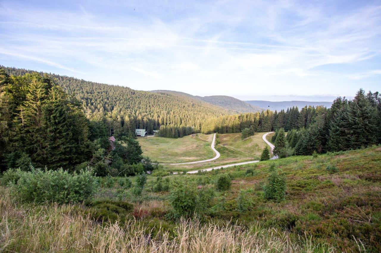 Bühlertal Edelfuchs-Lodge מראה חיצוני תמונה