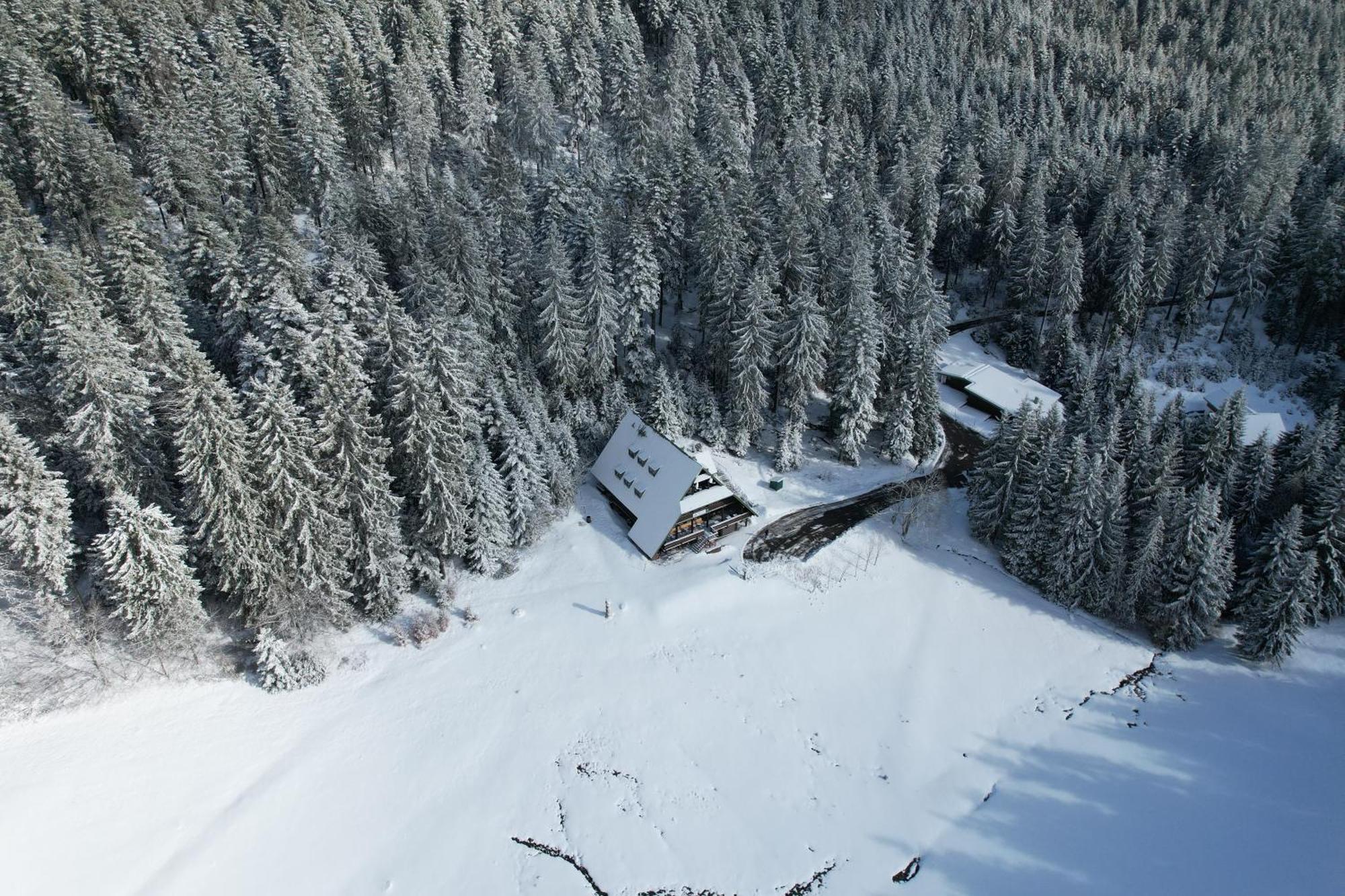 Bühlertal Edelfuchs-Lodge מראה חיצוני תמונה